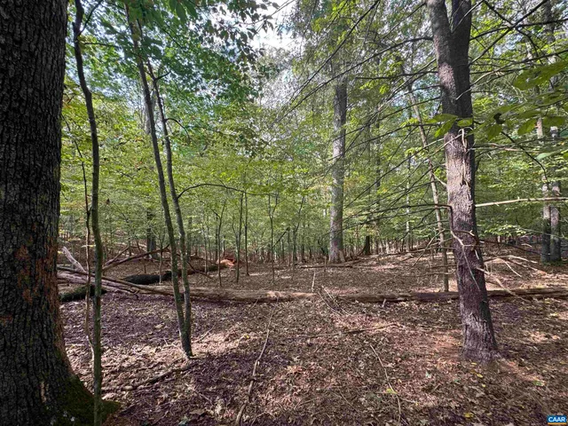 $85,000 | Lot 9 Truslows Lane, Nellysford, VA 22958