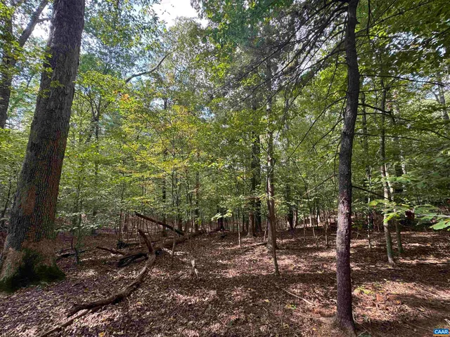 $85,000 | Lot 9 Truslows Lane, Nellysford, VA 22958