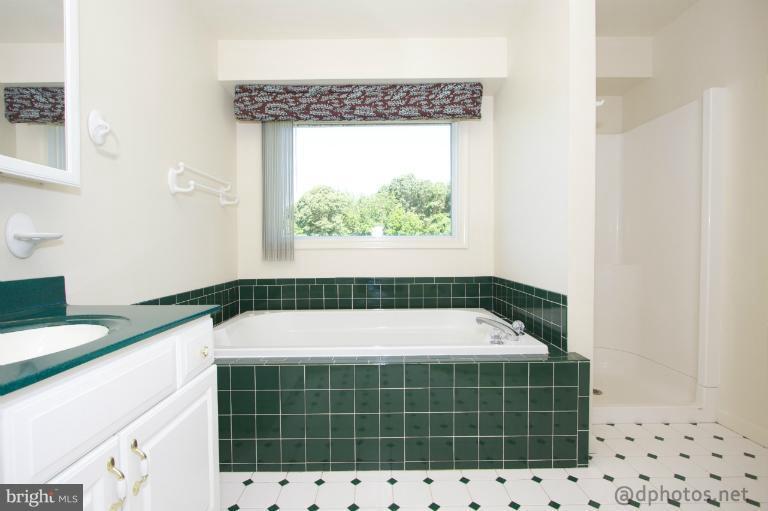 808 Lagrange Road Street, MD 21154 - Photo 22 of 30 Bath (Master)