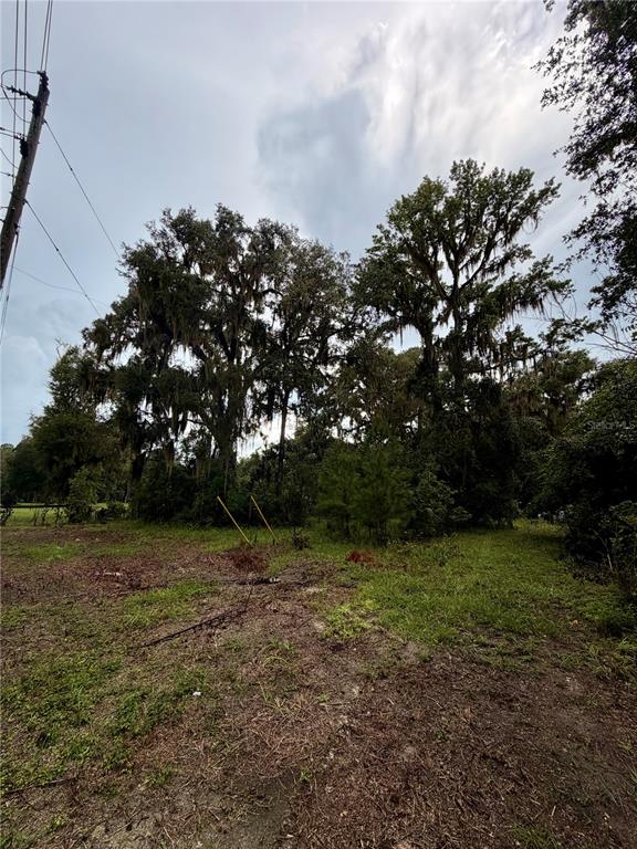 12602 Southwest Williston Road Micanopy, FL 32667 - Photo 2 of 21 Gallery Image 2