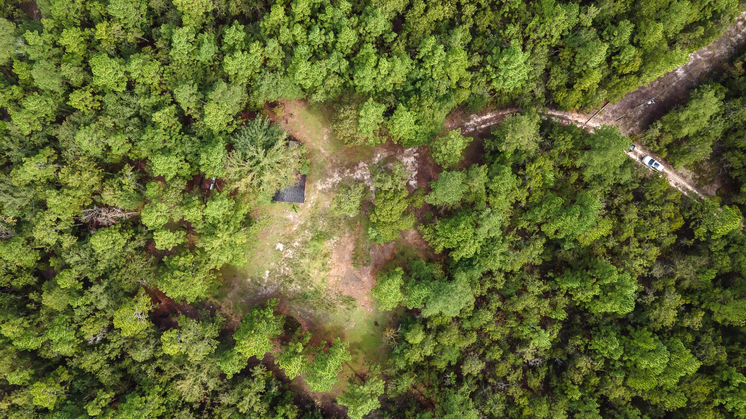 1023 Windsor Road Windsor, SC 29856 - Photo 5 of 13