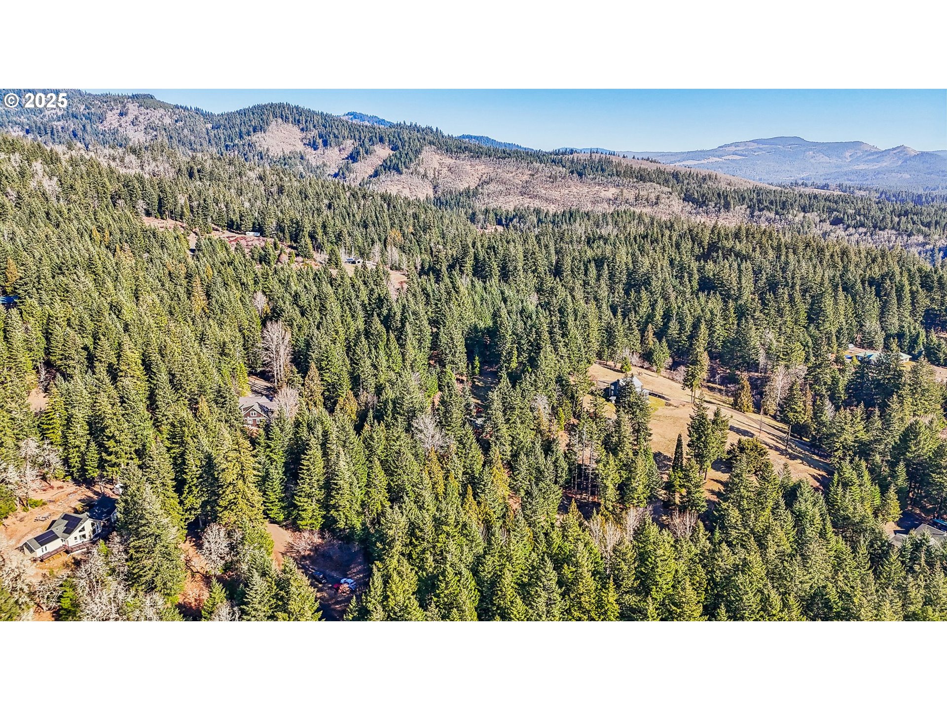 232 Upper Lakeview Rd Road White Salmon, WA 98672 - Photo 45 of 46 a black and white photo of a forest