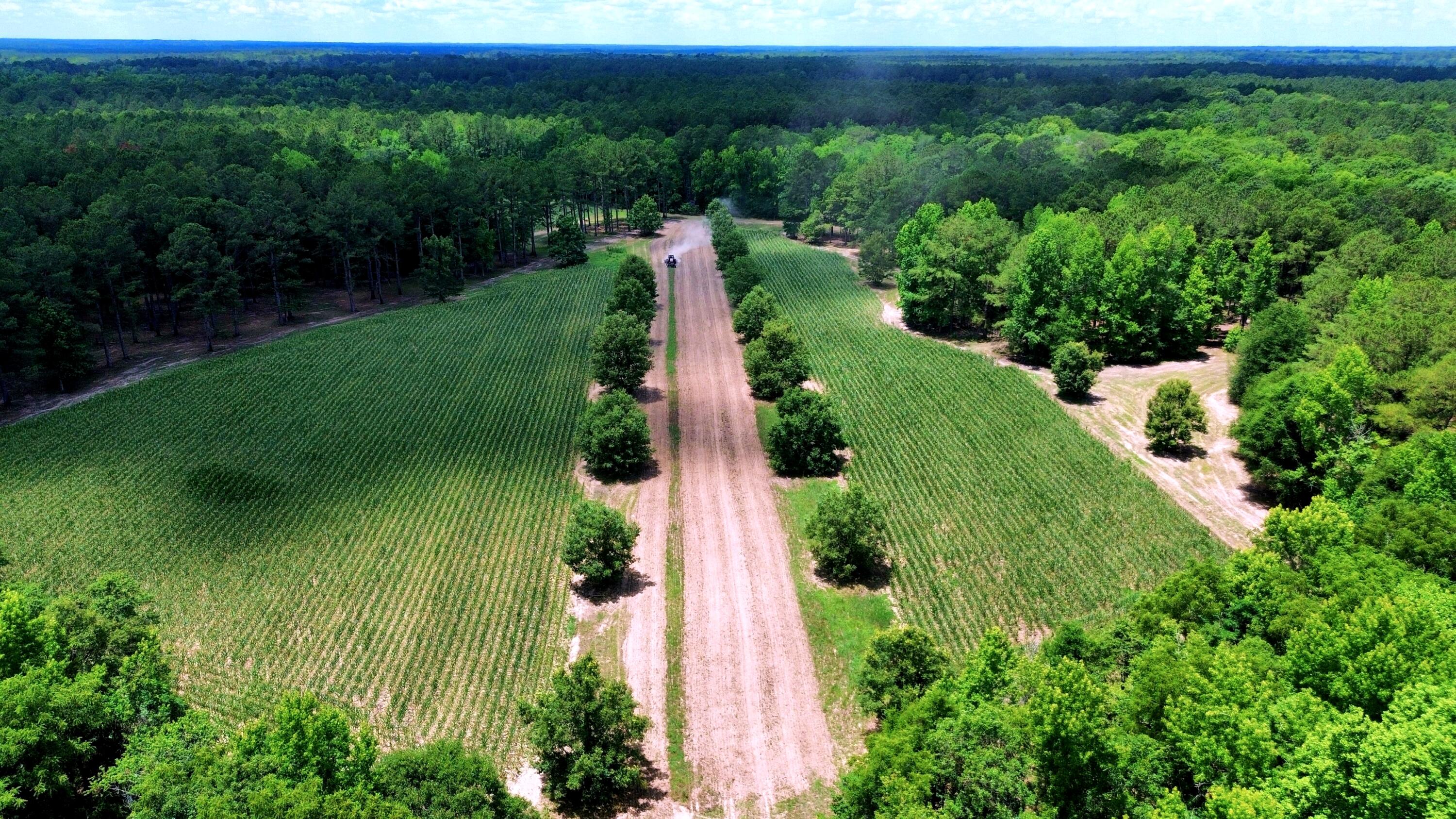 1970 Cross Swamp Road Islandton, SC 29929 - Photo 3 of 150