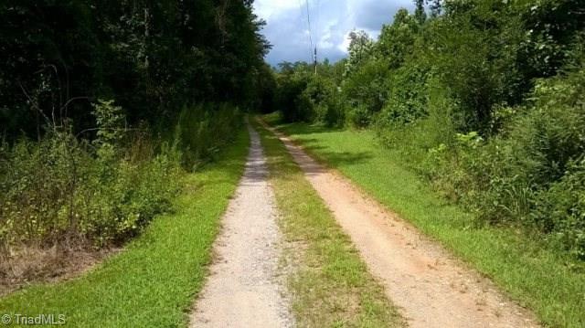 -off Poplar Springs Road Roaring River, NC 28669 - Photo 1 of 9 Main View