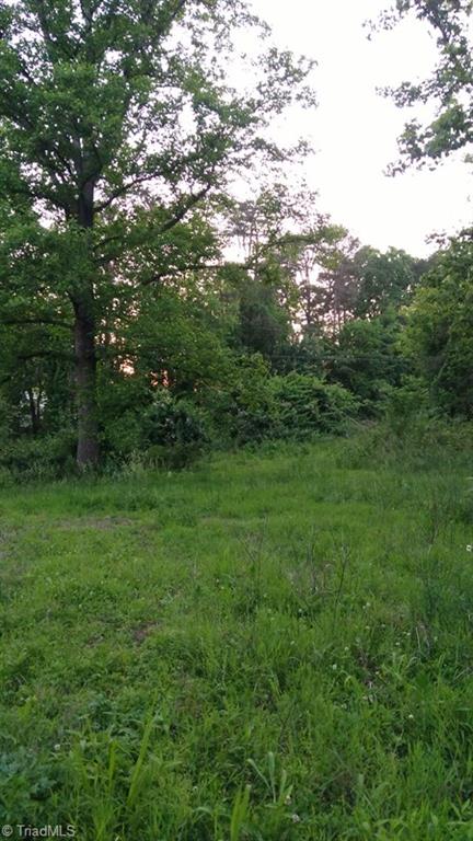 -off Poplar Springs Road Roaring River, NC 28669 - Photo 3 of 9 Gallery Image 3