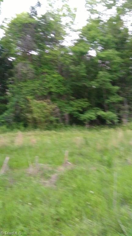 -off Poplar Springs Road Roaring River, NC 28669 - Photo 4 of 9 Gallery Image 4