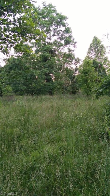 -off Poplar Springs Road Roaring River, NC 28669 - Photo 7 of 9 Gallery Image 7