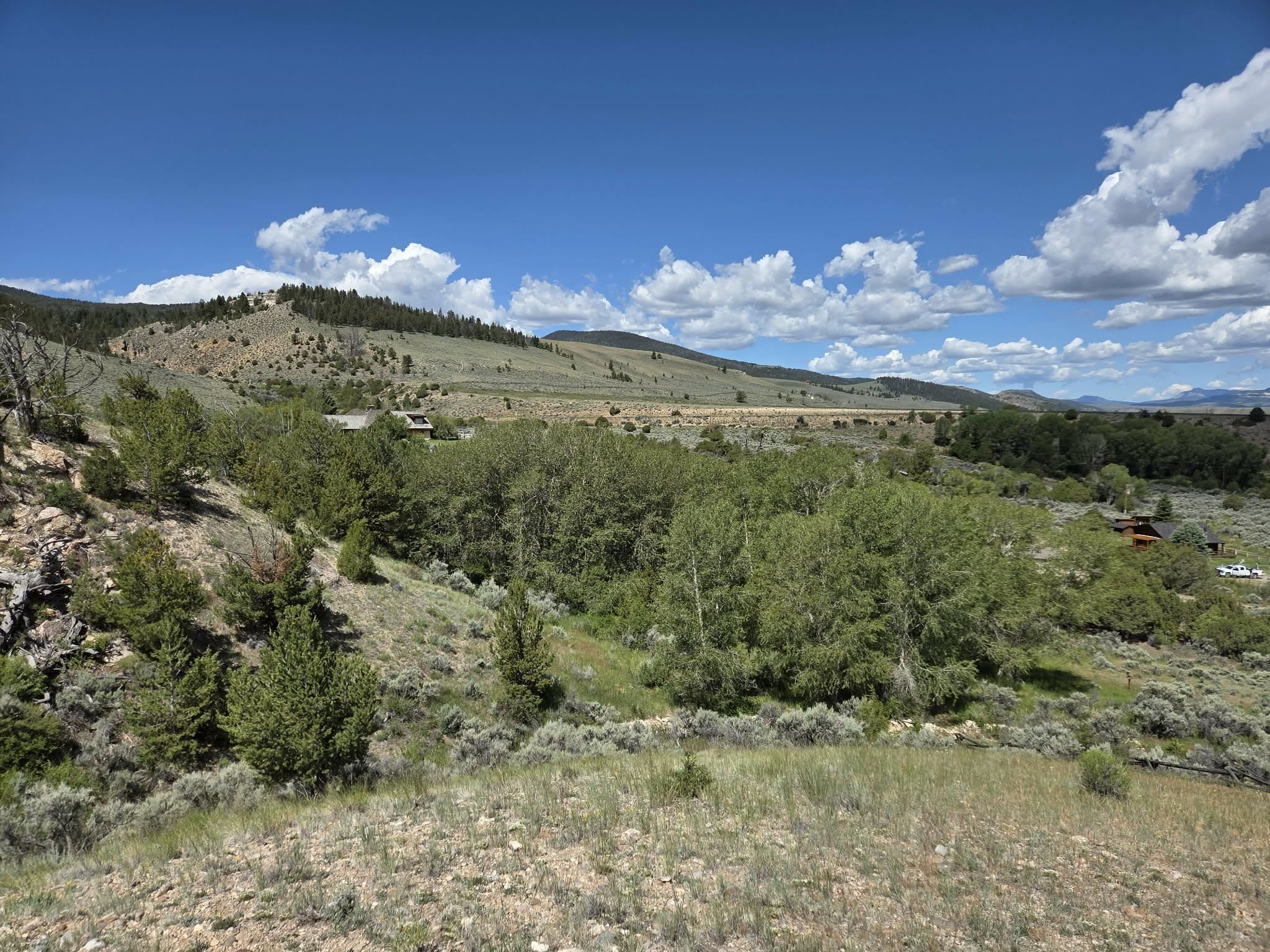 183 Bald Mountain Road Dubois, WY 82513 - Photo 43 of 48