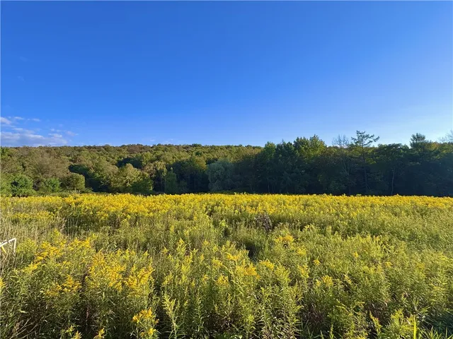 $49,900 | 0 Campbell Road, Franklin, NY 13775