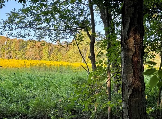 $49,900 | 0 Campbell Road, Franklin, NY 13775