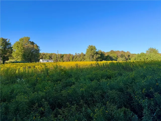 $49,900 | 0 Campbell Road, Franklin, NY 13775