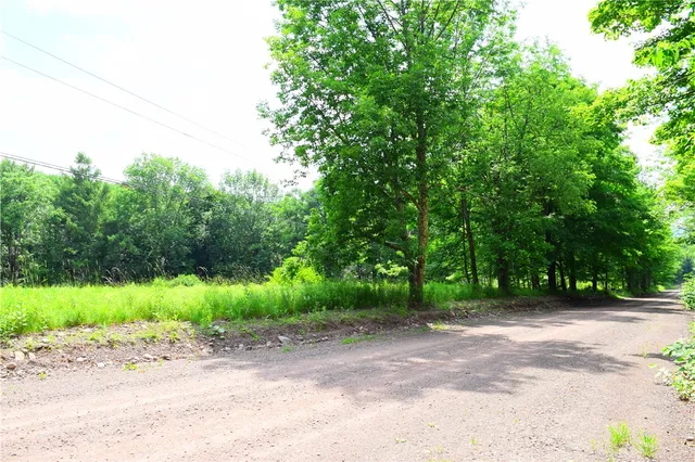 $49,900 | 0 Campbell Road, Franklin, NY 13775