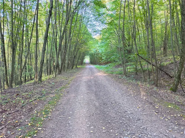 $49,900 | 0 Campbell Road, Franklin, NY 13775