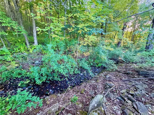 $49,900 | 0 Campbell Road, Franklin, NY 13775