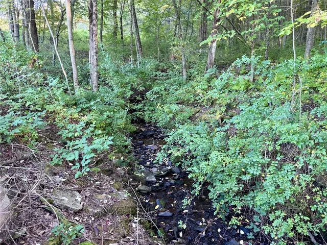 $49,900 | 0 Campbell Road, Franklin, NY 13775