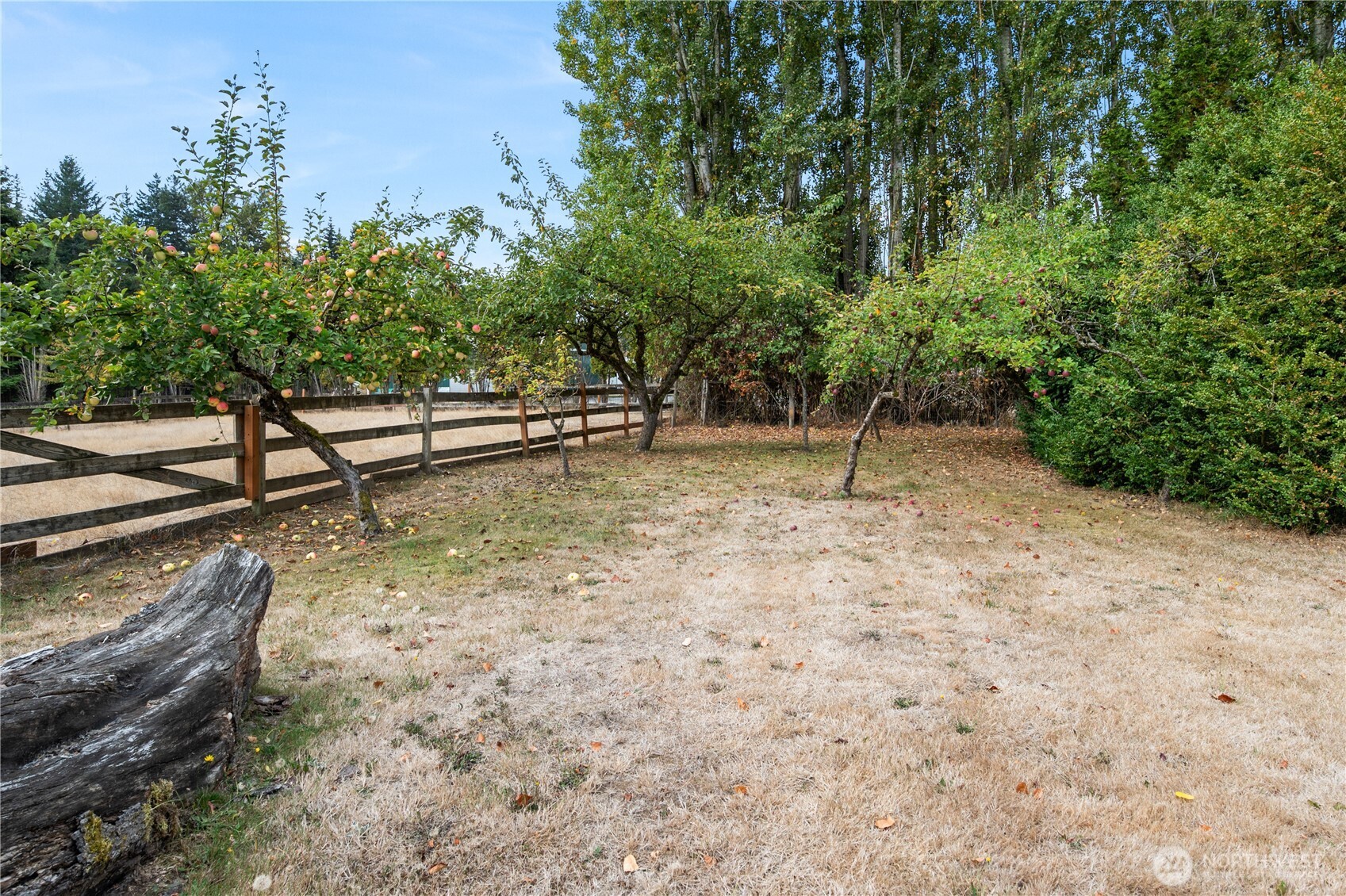 7281 Dahlberg Road Ferndale, WA 98248 - Photo 21 of 24 Gallery Image 21
