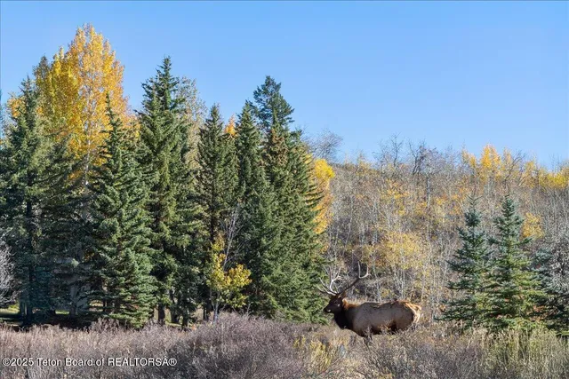 $12,995,000 | 725 North Bar Y Road, Jackson, WY 83001