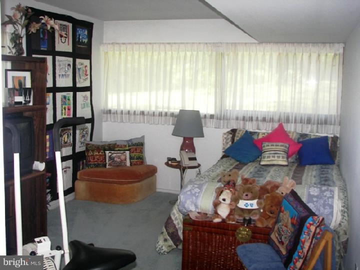 666 Skunk Hollow Road Chalfont, PA 18914 - Photo 12 of 21 Gallery Image 12