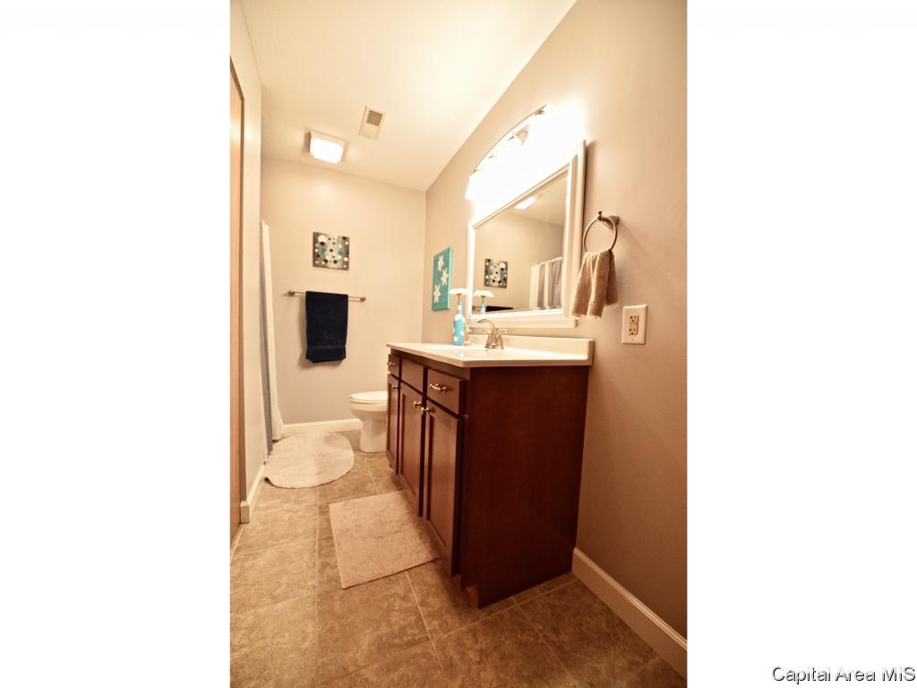 213 Eagle Ridge Drive Chatham, IL 62629 - Photo 16 of 18 Gallery Image 16