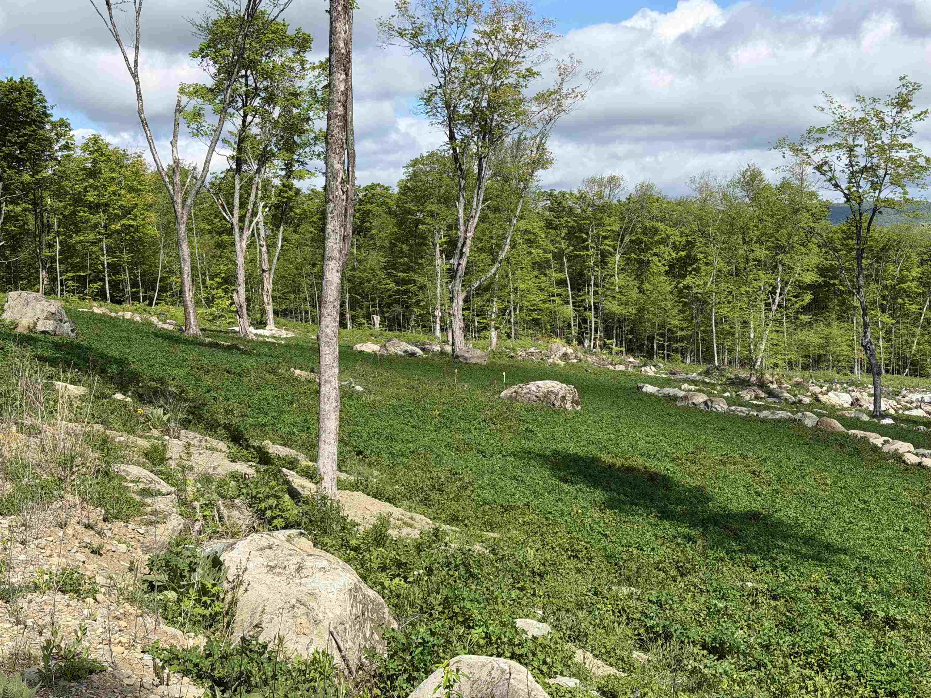 842 Gibbs Road, Unit LOT 1 Newport Town, VT 05857 - Photo 4 of 14
