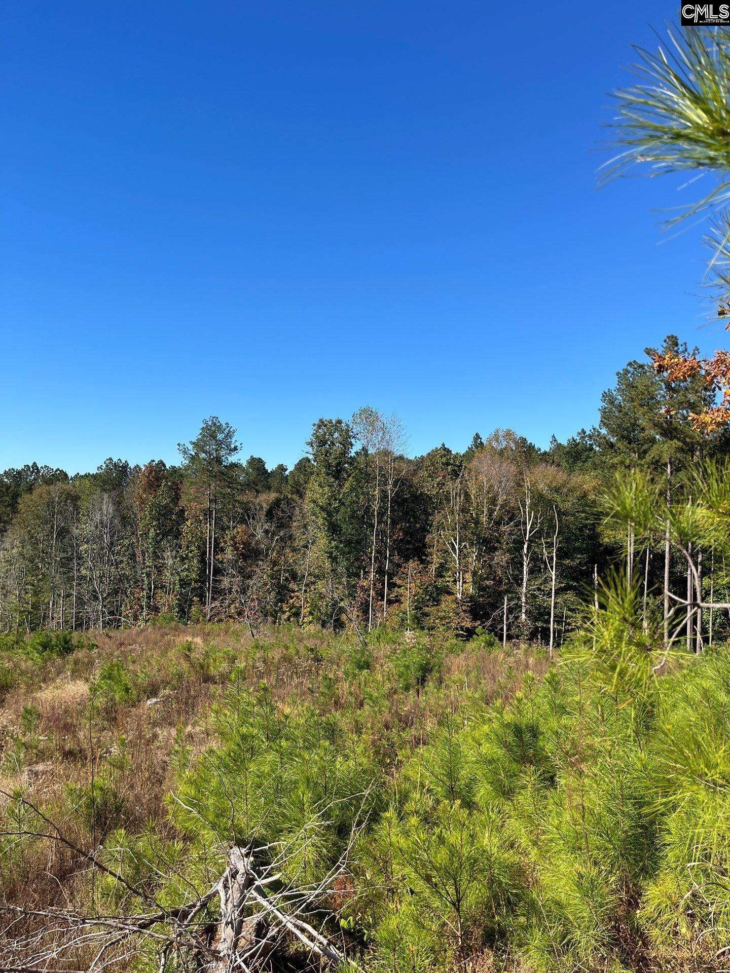 3 Dawkins Road, Unit DRF 3 Whitmire, SC 29178 - Photo 21 of 38