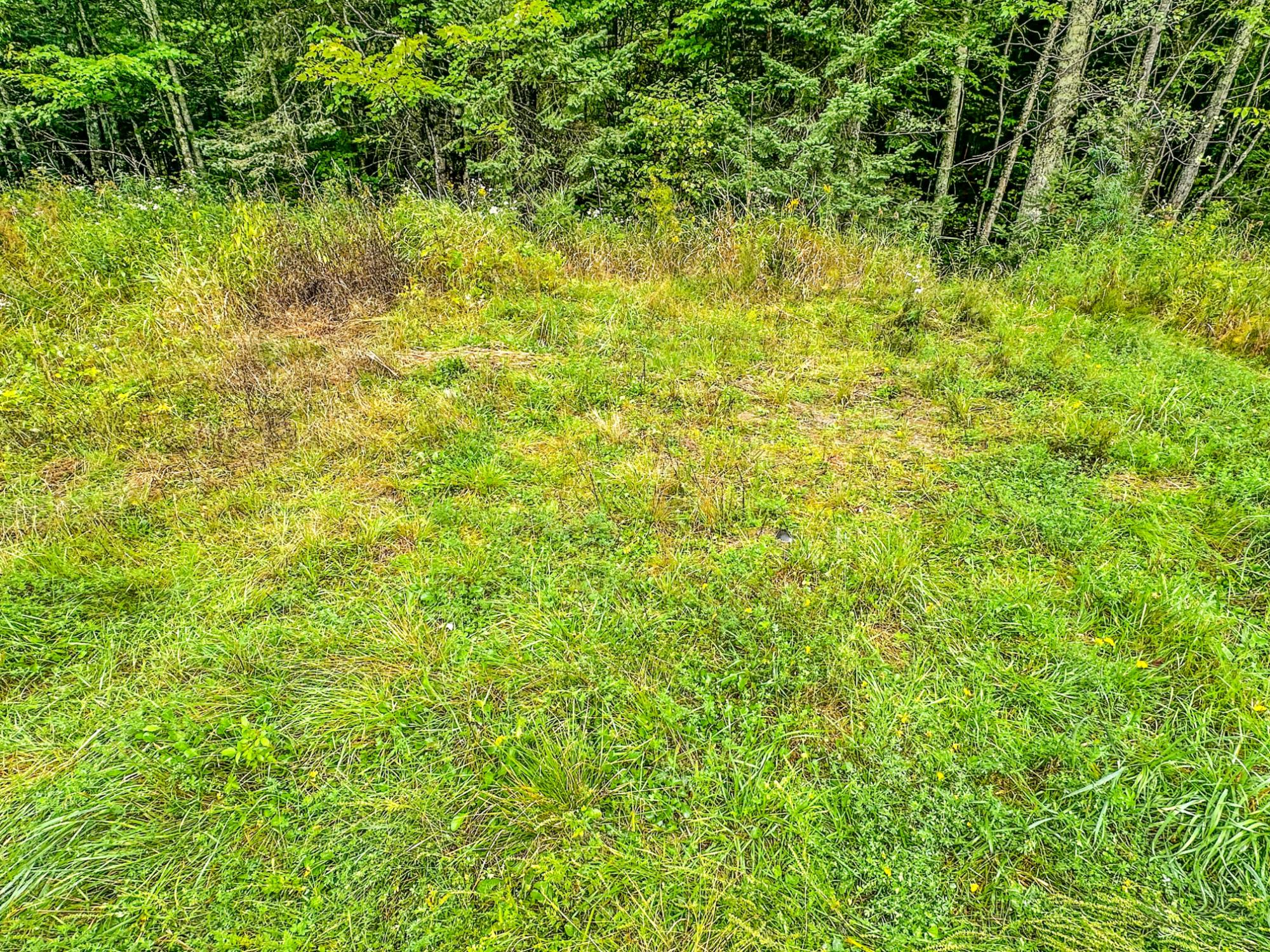 10-acres Bass Lake Road Manitowish Waters, WI 54545 - Photo 7 of 20 Gallery Image 7