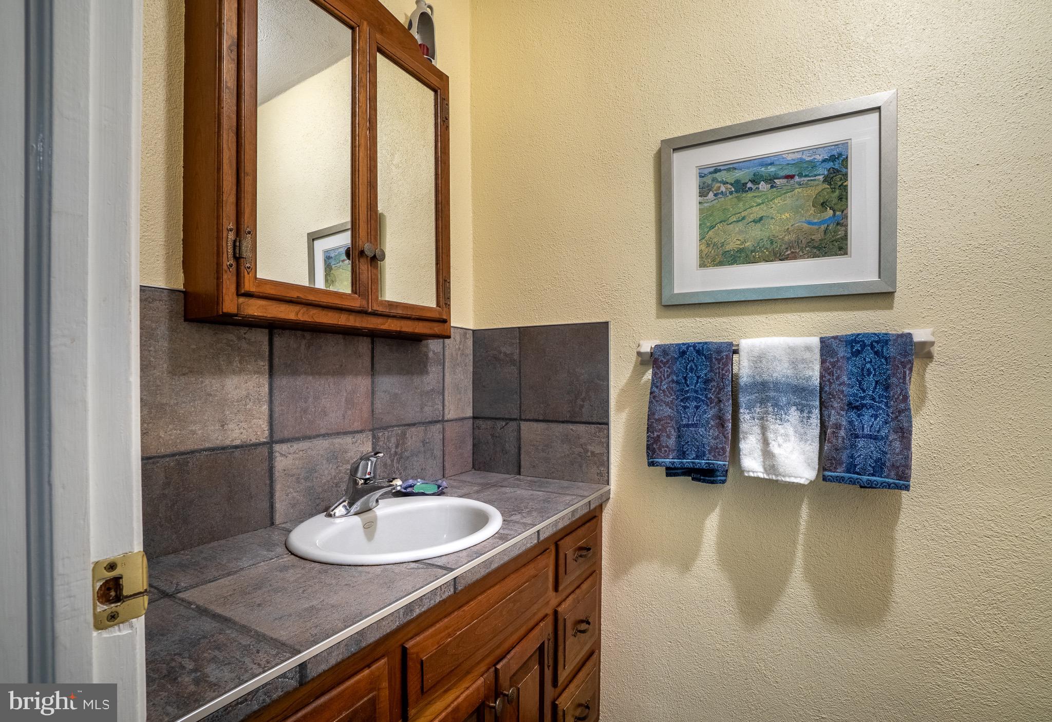 1453 Coldsprings Road Pottstown, PA 19465 - Photo 18 of 53 a bathroom with a sink and a mirror