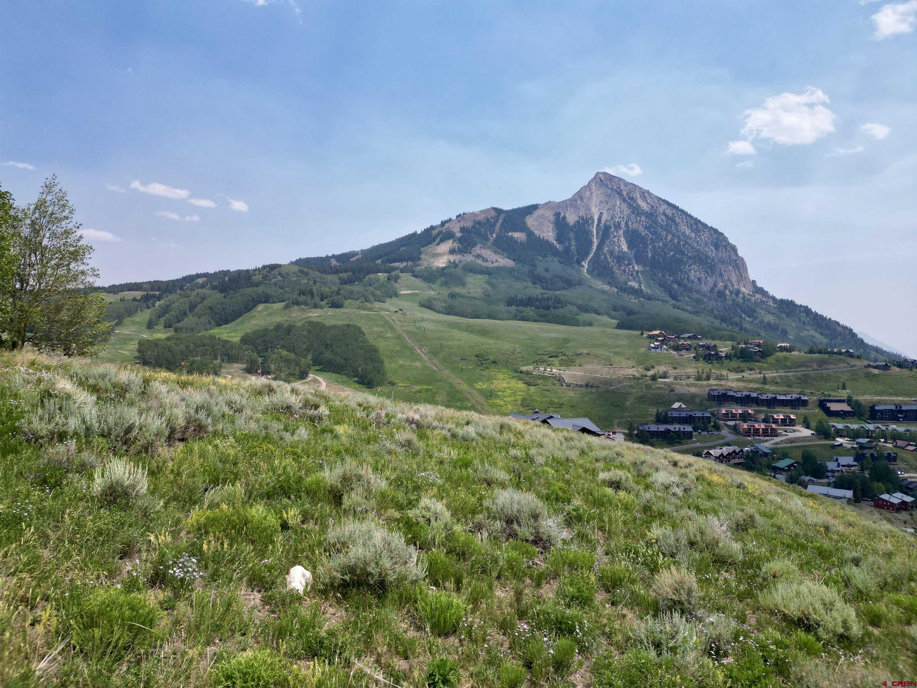 19 Buttercup Lane Crested Butte, CO 81225 - Photo 1 of 17 a view of a lush green outdoor space with a lake view