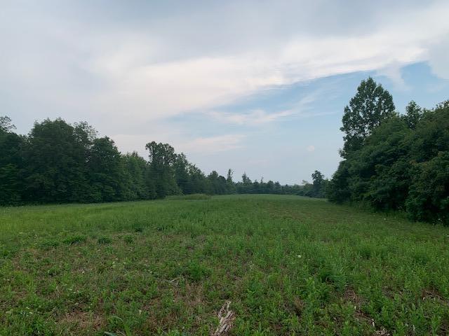 706 Montgomery Road Wellington, KY 40387 - Photo 3 of 20 IMG_4247