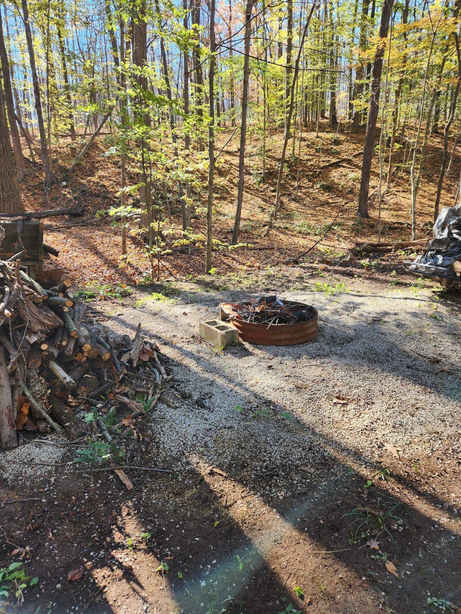 0 Off Shingle Mill Road Bloomfield, IN 47424 - Photo 12 of 52