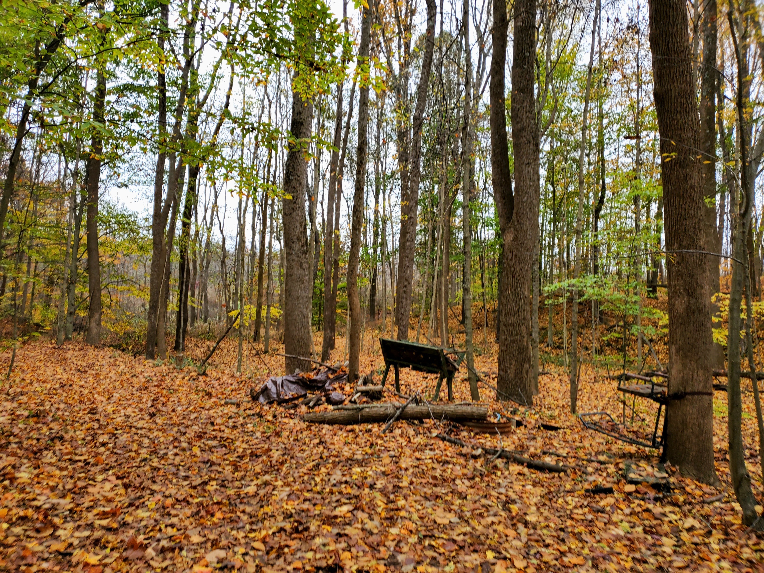 0 Off Shingle Mill Road Bloomfield, IN 47424 - Photo 24 of 52