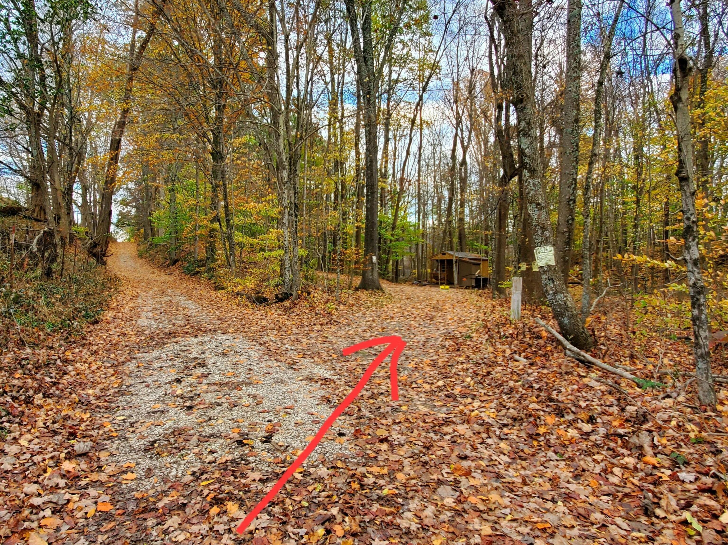 0 Off Shingle Mill Road Bloomfield, IN 47424 - Photo 3 of 52