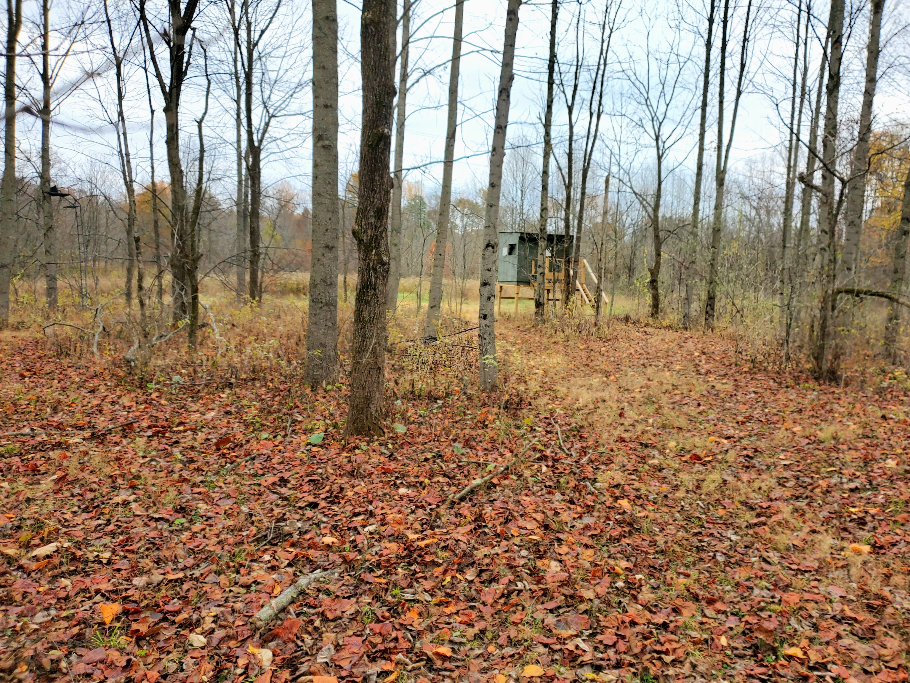 0 Off Shingle Mill Road Bloomfield, IN 47424 - Photo 32 of 52