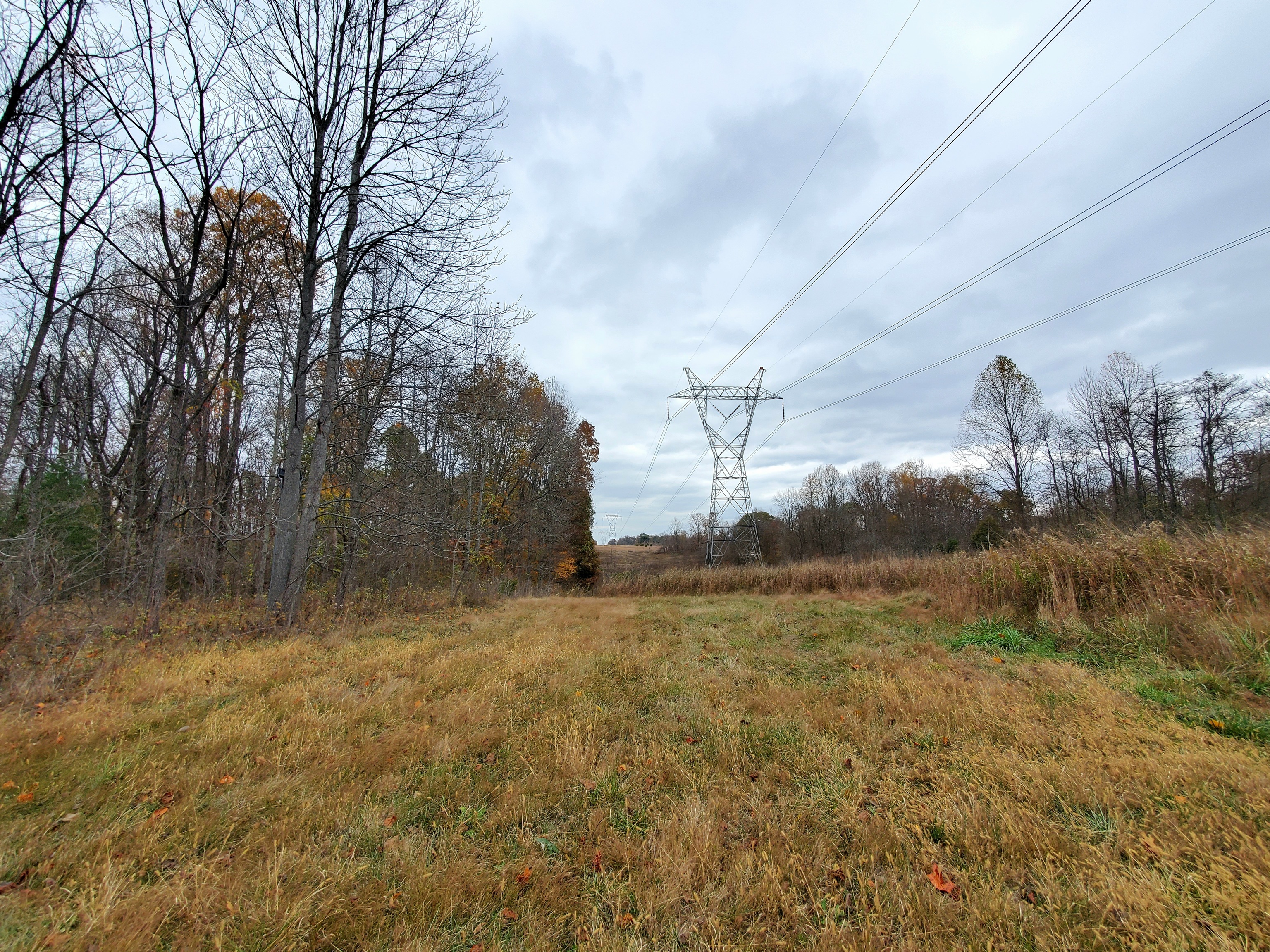 0 Off Shingle Mill Road Bloomfield, IN 47424 - Photo 39 of 52