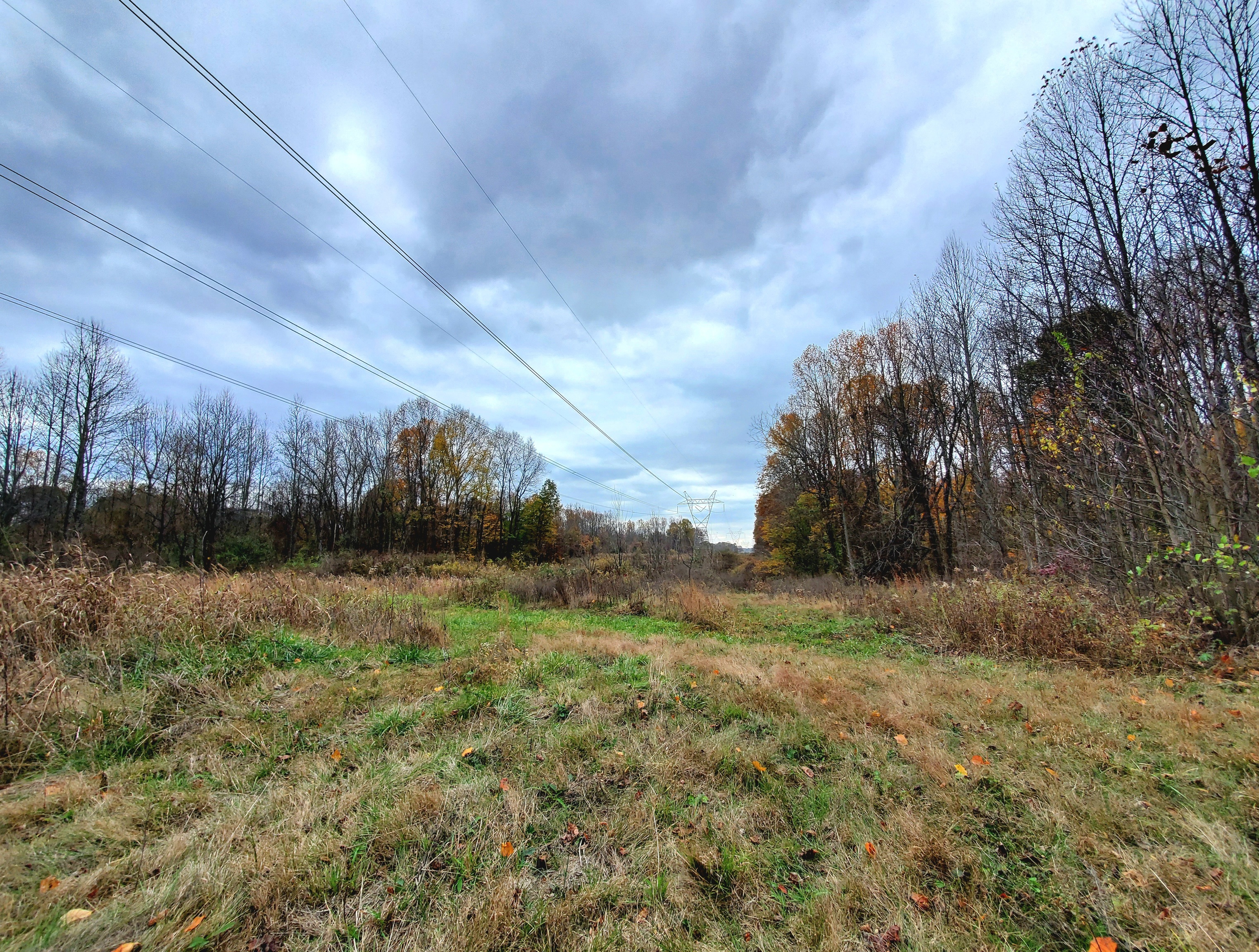 0 Off Shingle Mill Road Bloomfield, IN 47424 - Photo 40 of 52