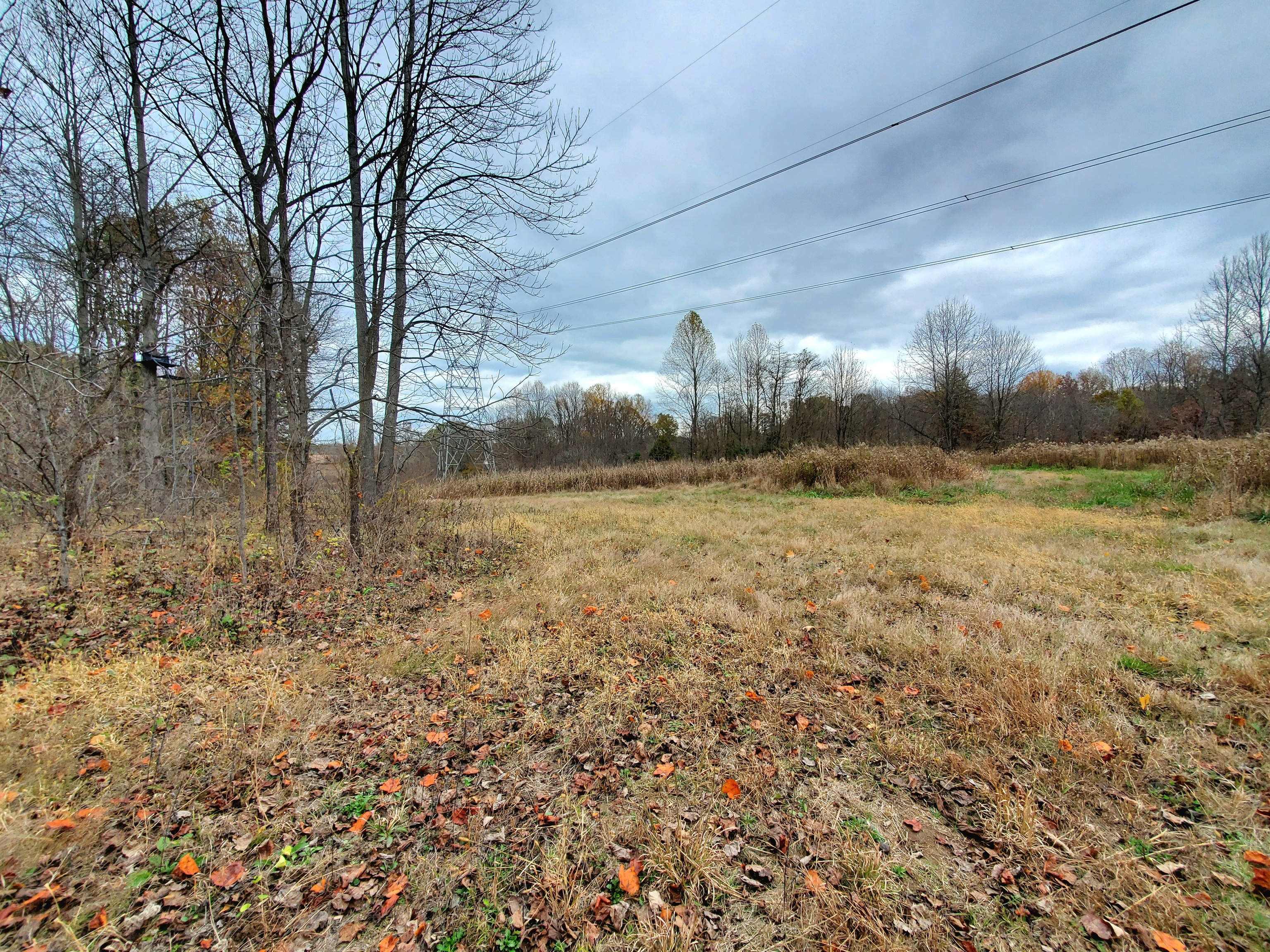 0 Off Shingle Mill Road Bloomfield, IN 47424 - Photo 41 of 52