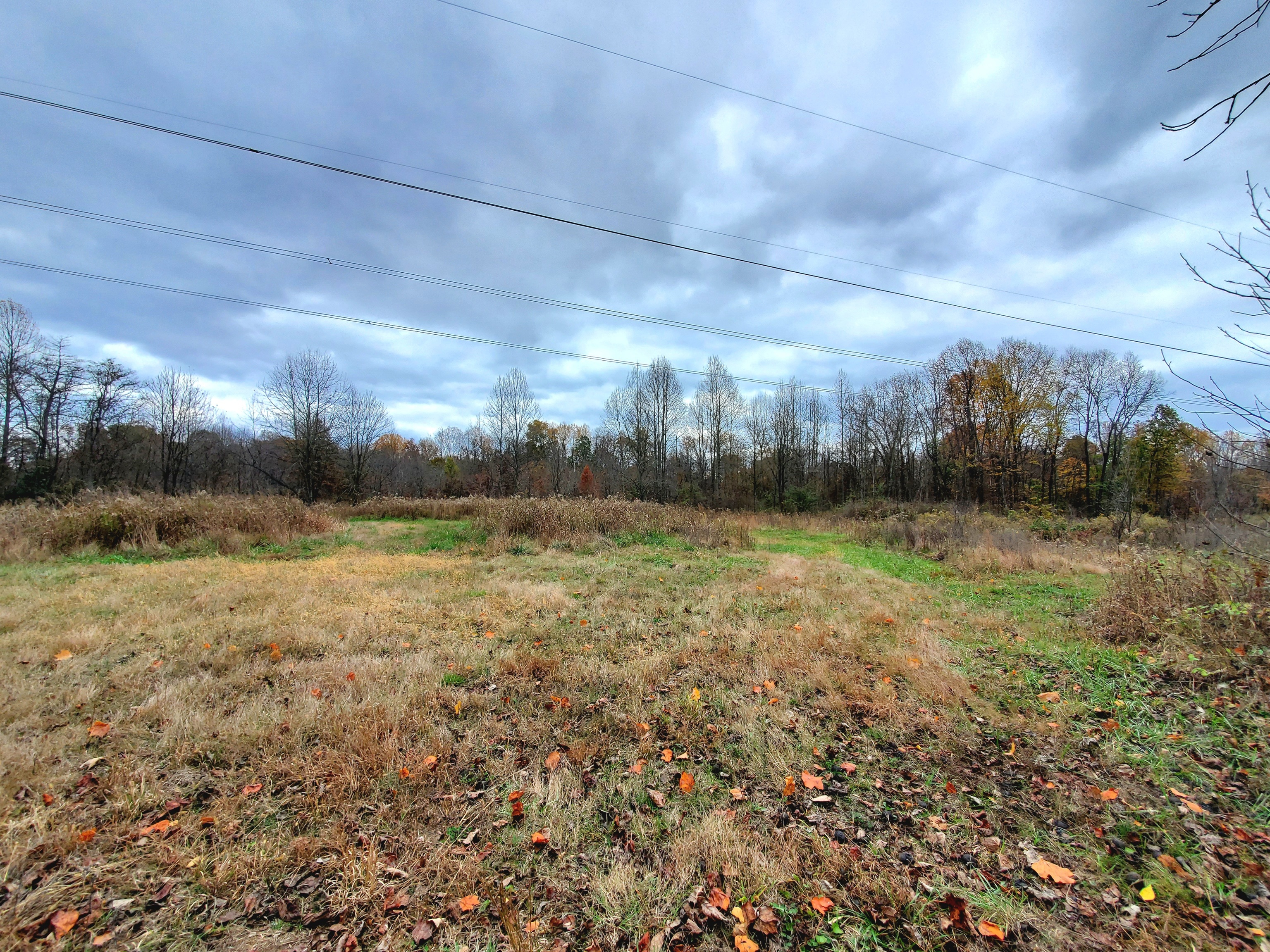 0 Off Shingle Mill Road Bloomfield, IN 47424 - Photo 42 of 52