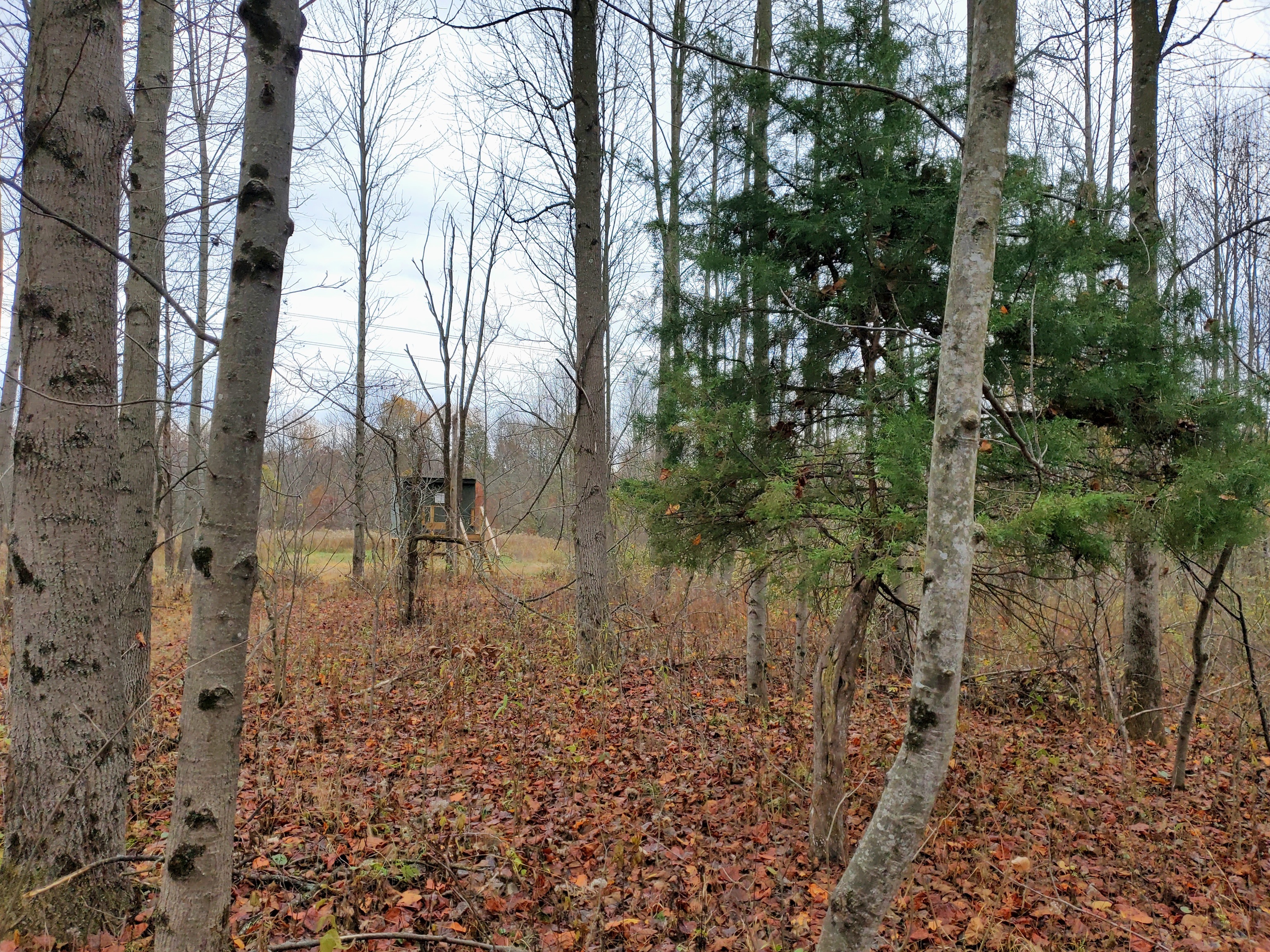 0 Off Shingle Mill Road Bloomfield, IN 47424 - Photo 44 of 52