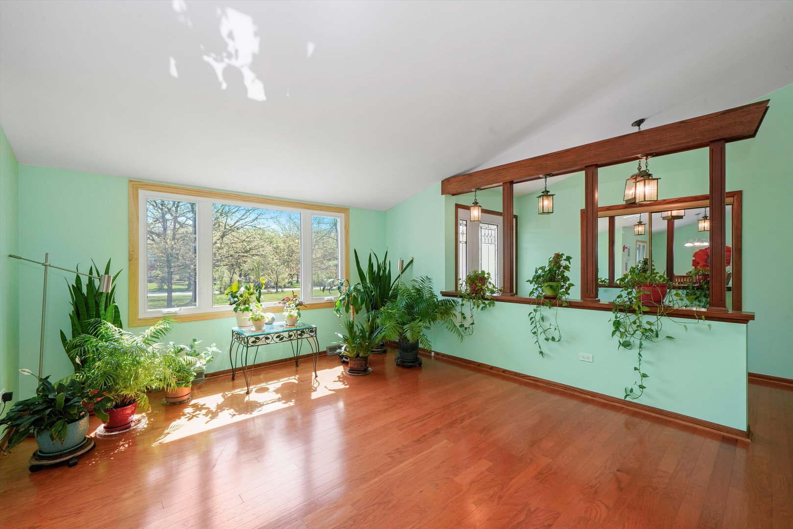 24350 Laura Lane Crete, IL 60417 - Photo 4 of 16