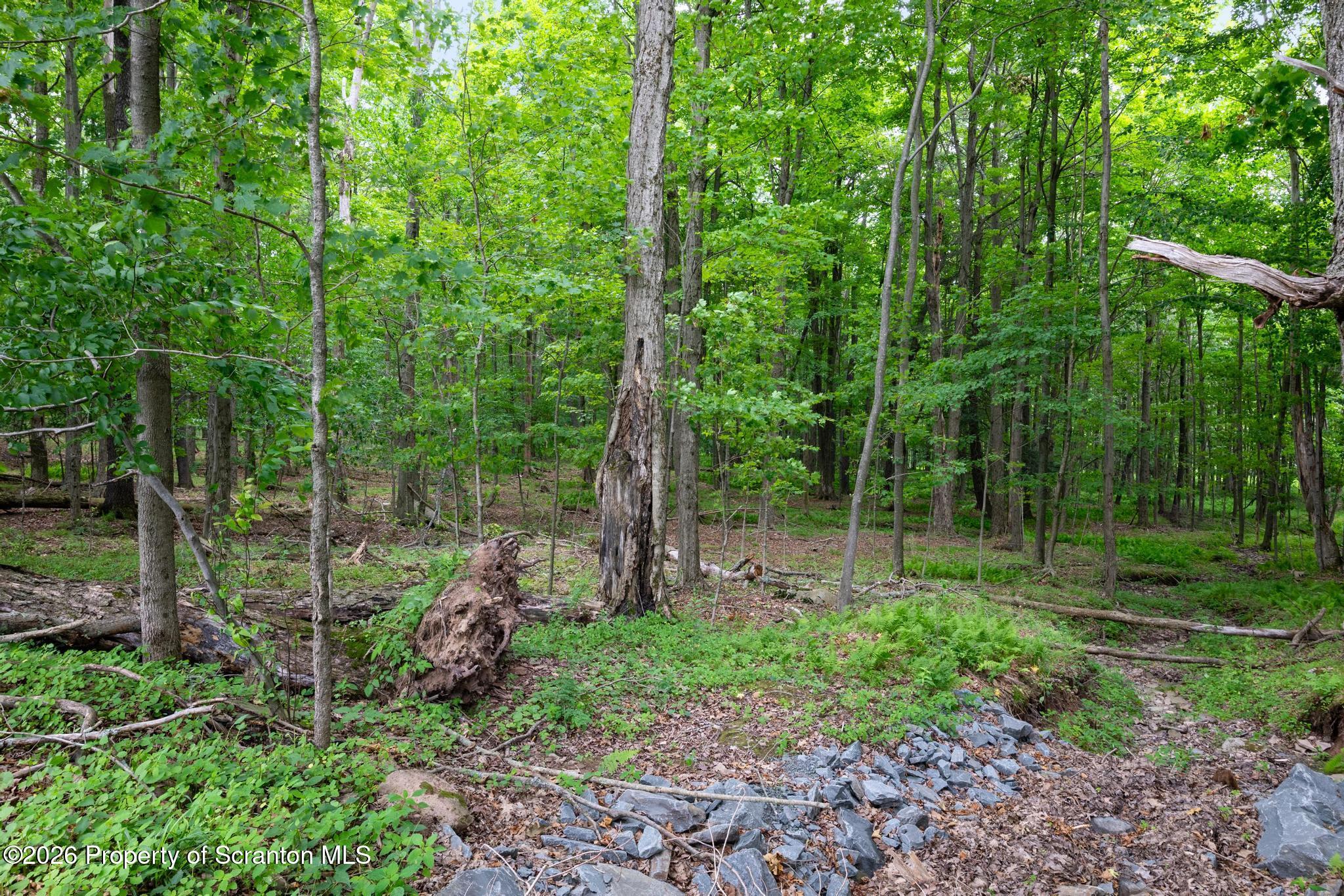 1768 Greenfield Road Jermyn, PA 18433 - Photo 22 of 53 rr23