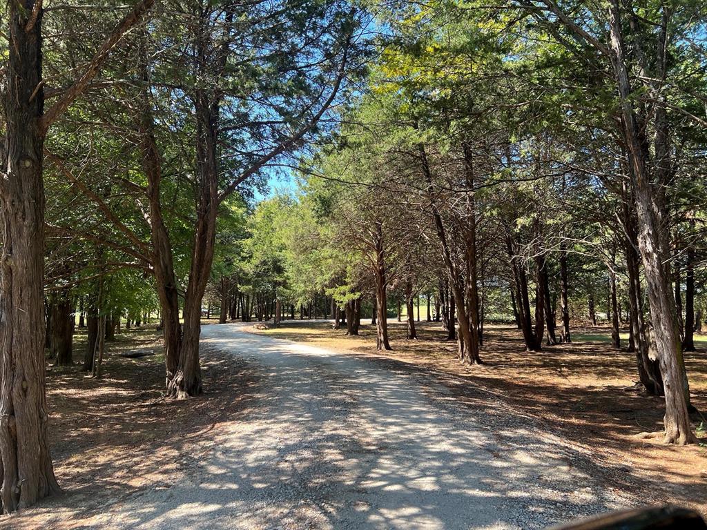180 East Greer Road Sadler, TX 76264 - Photo 4 of 40 Drive leading to home