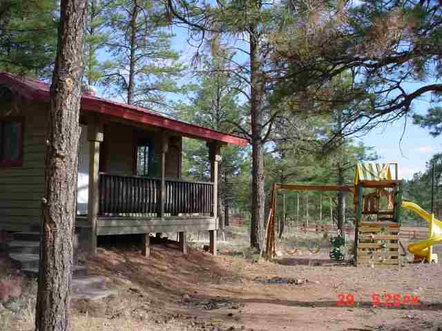 863 Hog Wash Road Show Low, AZ 85901 - Photo 3 of 6 Gallery Image 3