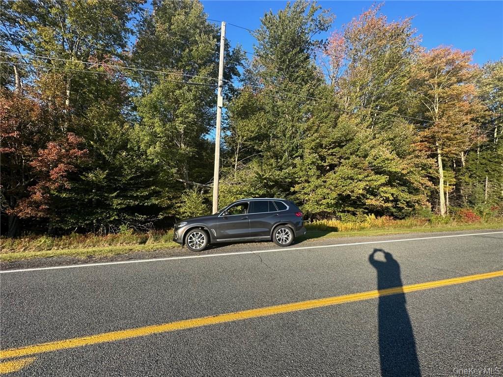 Ulster Heights Road Fallsburg, NY 12733 - Photo 4 of 10 a view of backyard with small area