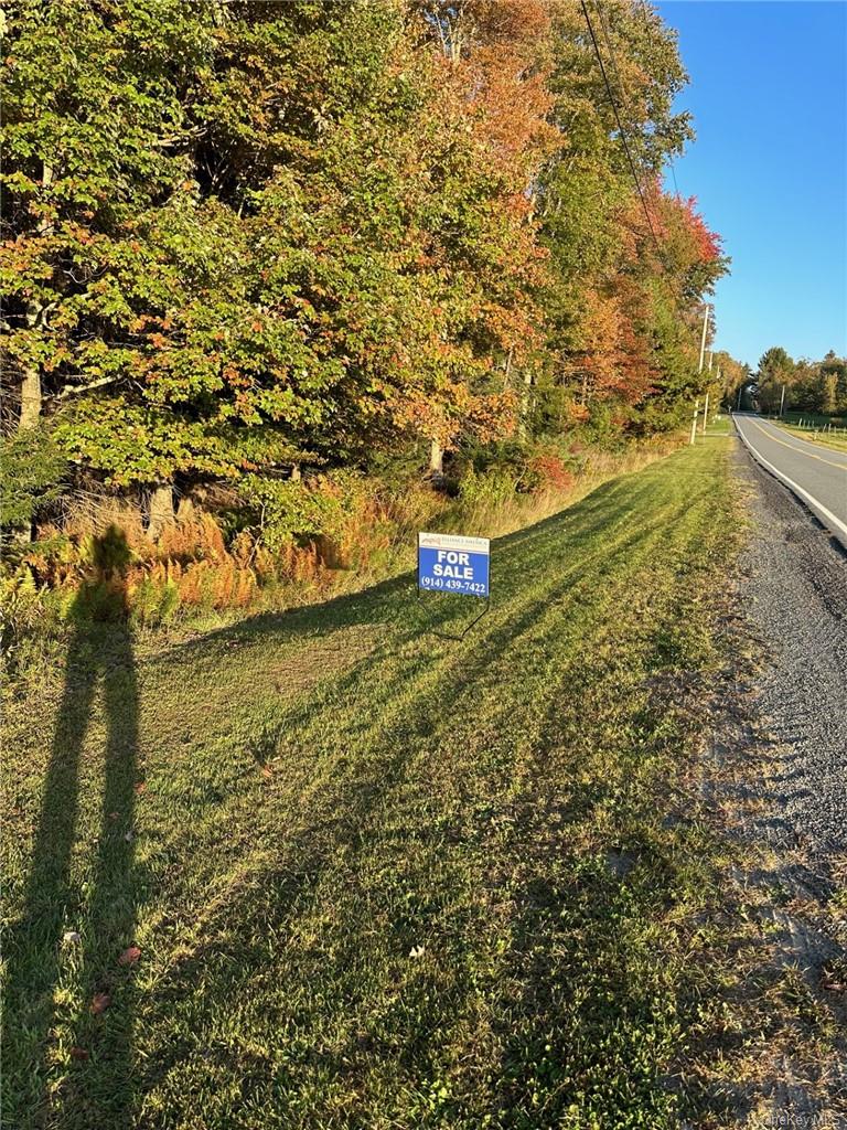 Ulster Heights Road Fallsburg, NY 12733 - Photo 5 of 10