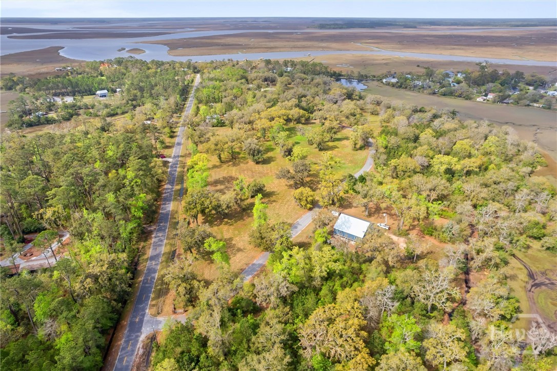 Lot 27 Cattle Hammock Road Midway, GA 31320 - Photo 7 of 30