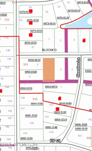 $20,000 | 103 Pine Cone Drive, Georgetown, FL 32139