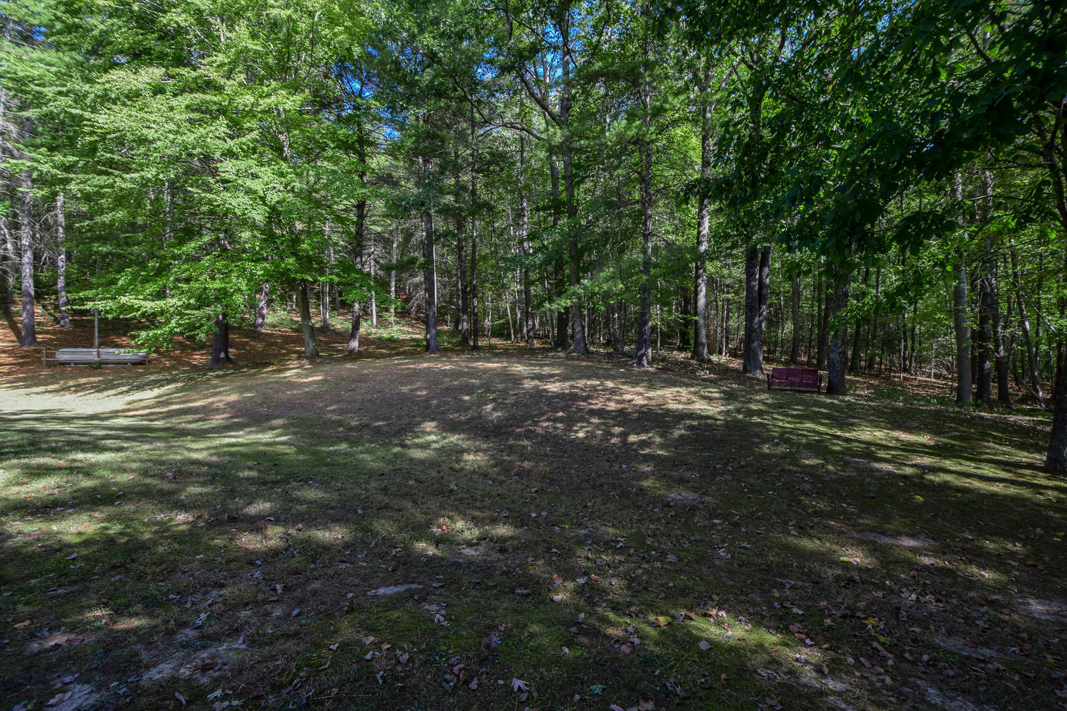 16415 Paint Bank Road Paint Bank, VA 24131 - Photo 29 of 36 a view of outdoor space with trees