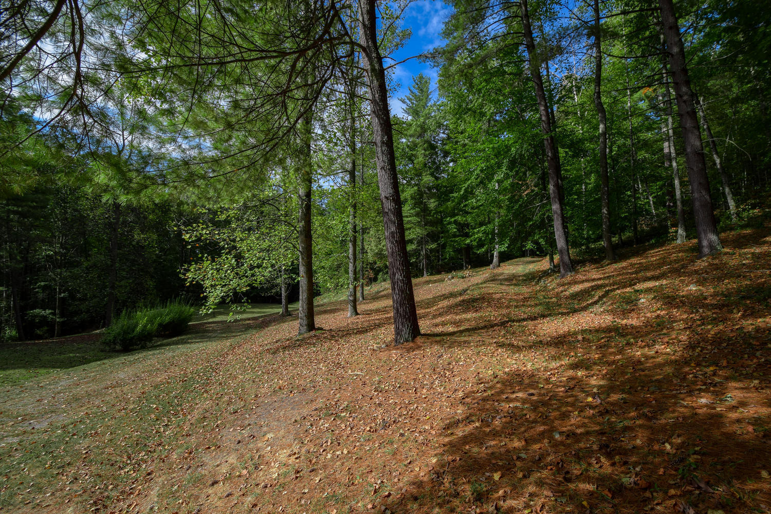 16415 Paint Bank Road Paint Bank, VA 24131 - Photo 33 of 36 a view of a field with trees in the background