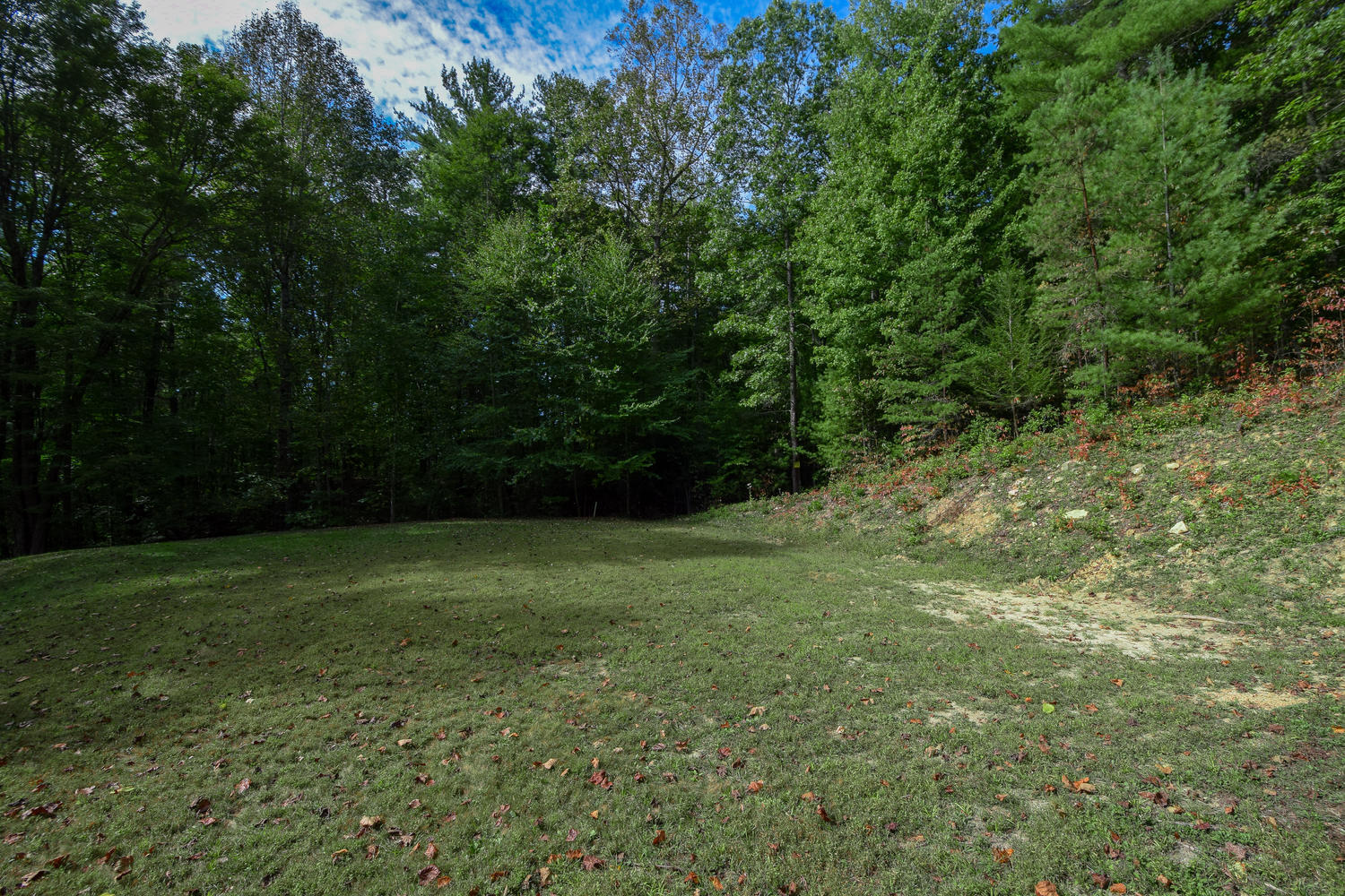 16415 Paint Bank Road Paint Bank, VA 24131 - Photo 34 of 36 a view of a yard