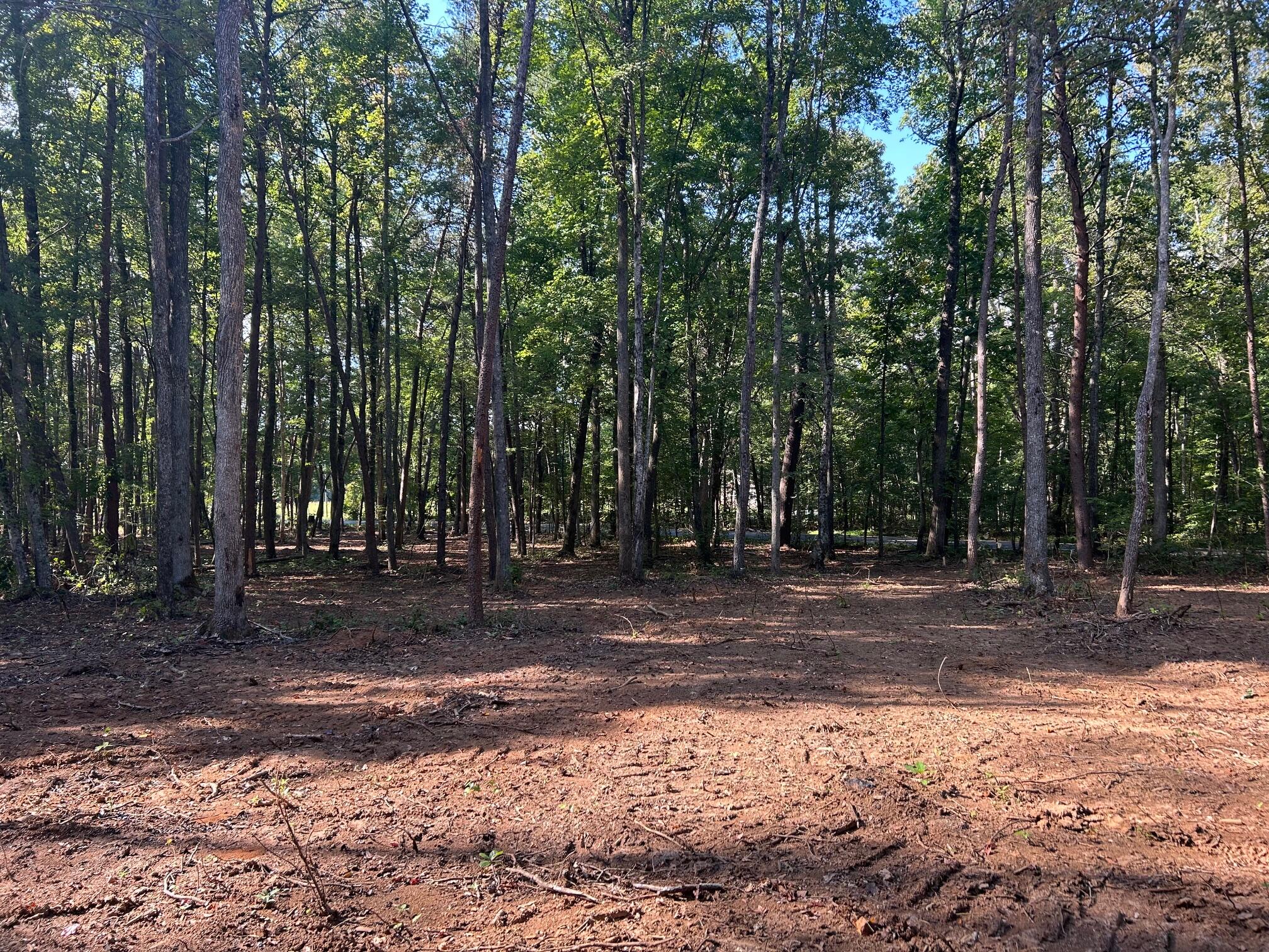 6 Pleasant Hill Road Ten Mile, TN 37880 - Photo 2 of 13 IMG_3855